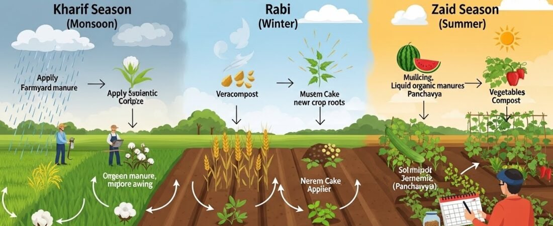 Seasonal Organic Fertilizer Planning for Indian Crops